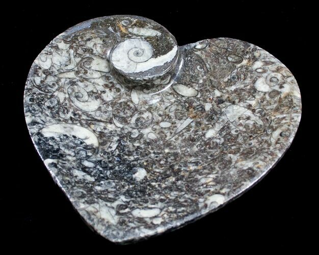 Heart Shaped Fossil Goniatite Dish #8874